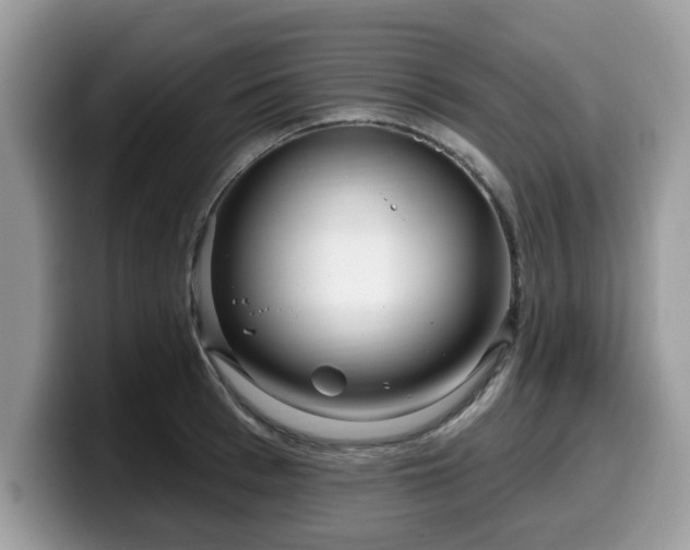 X0000099960993200805301310