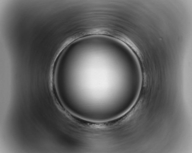 X0000099960994200805301310