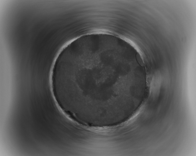X0000099960995200805301310