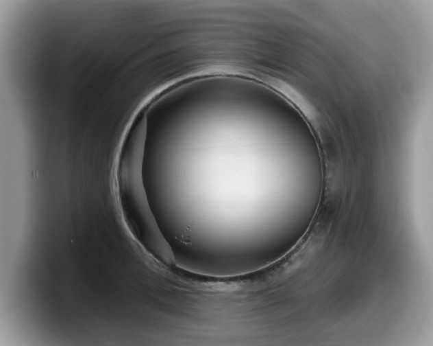 X0000099960996200805301310