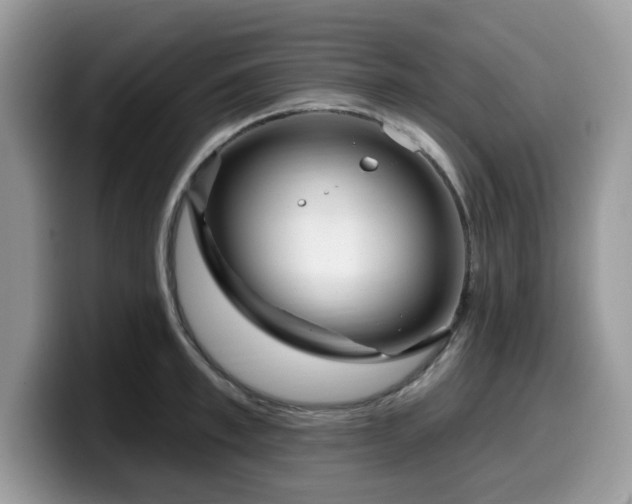 X0000099960997200805301310