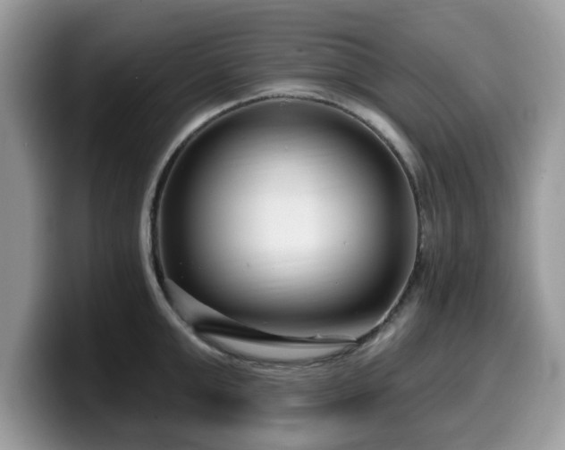 X0000099960999200805301310