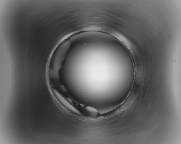 X0000099961000200805301310