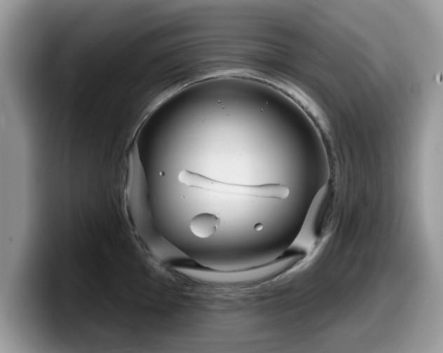 X0000099961001200805301310