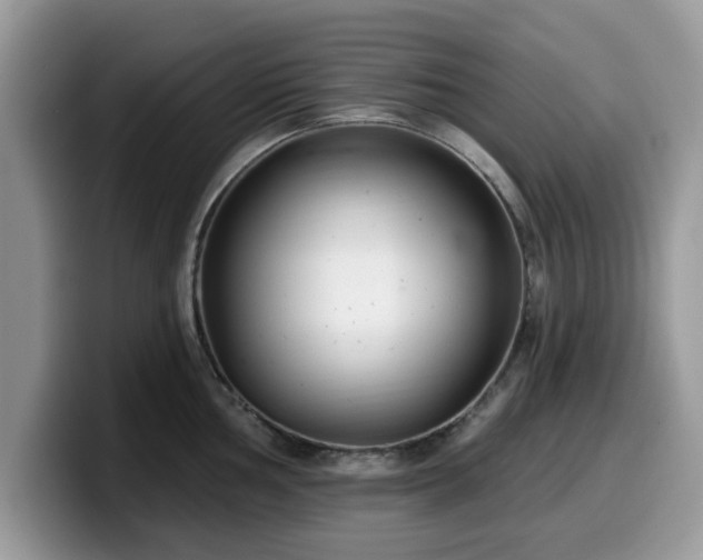 X0000099961002200805301310