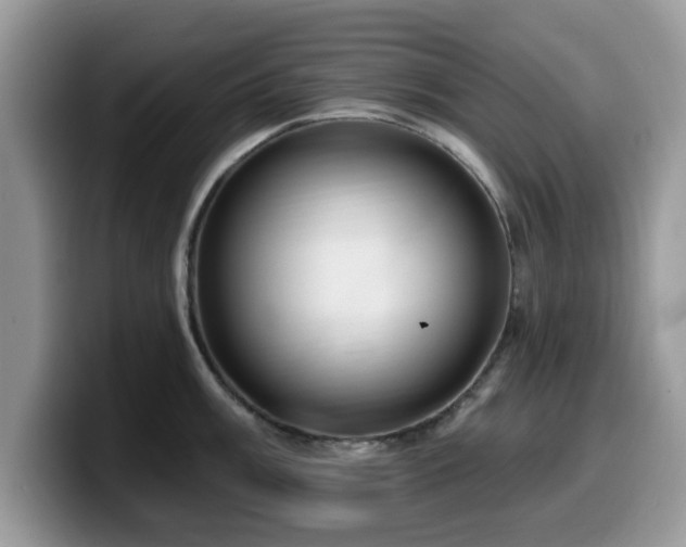 X0000099961003200805301310