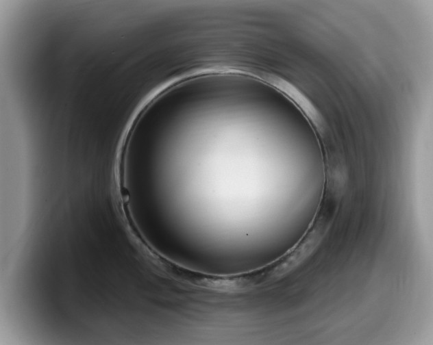 X0000099961004200805301310