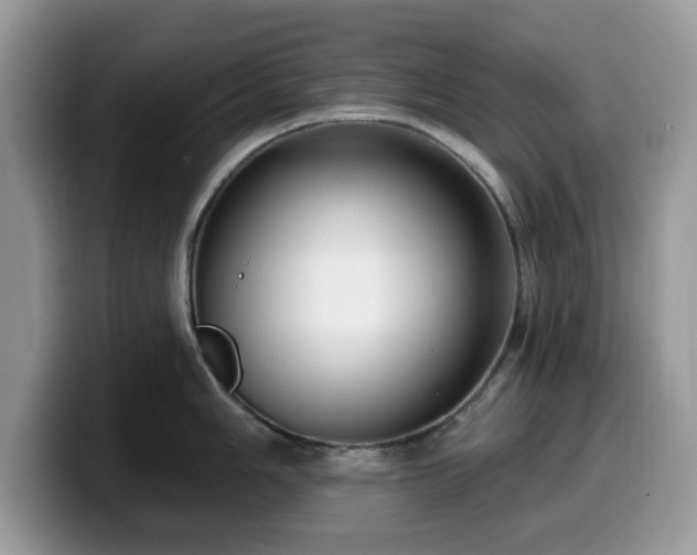 X0000099961006200805301310