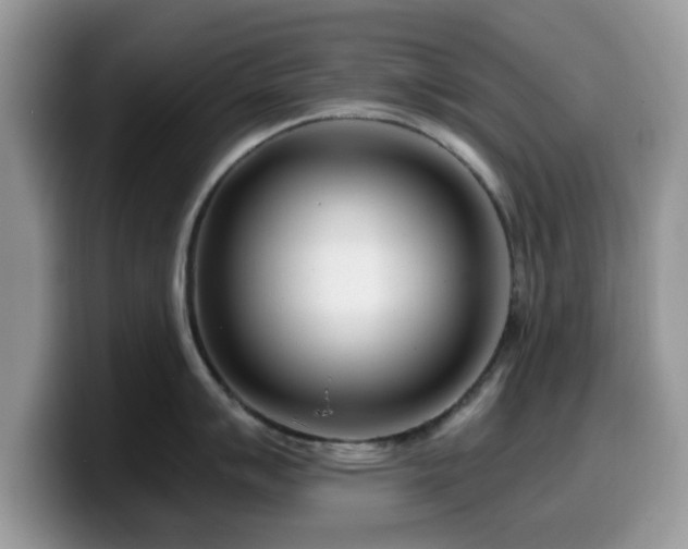 X0000099961007200805301310