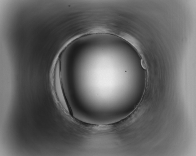 X0000099961008200805301310