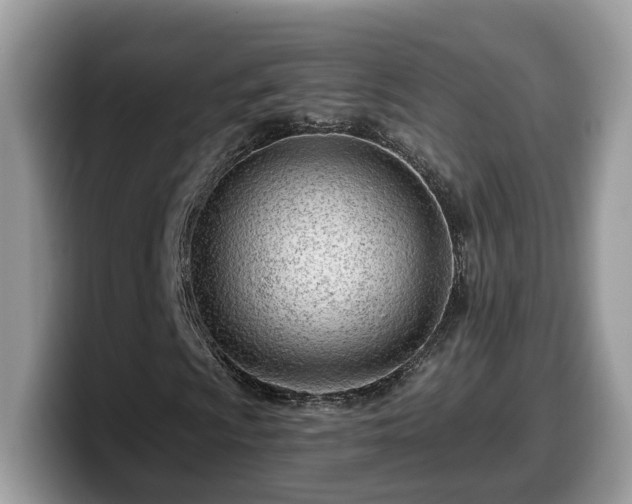 X0000099961009200805301309