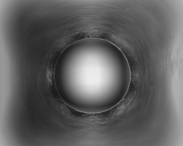 X0000099961010200805301309