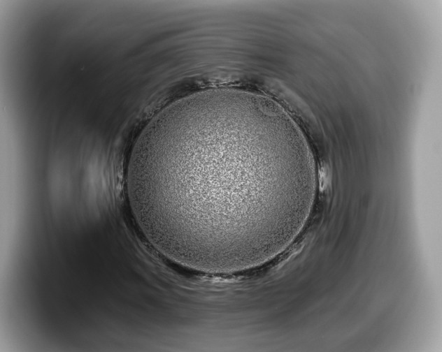 X0000099961011200805301309