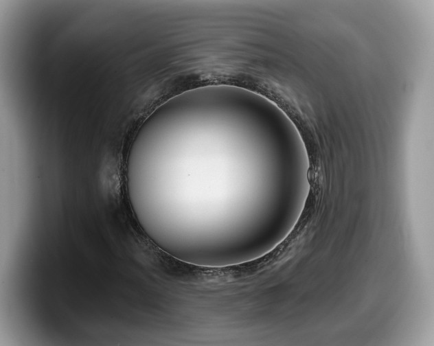 X0000099961012200805301309