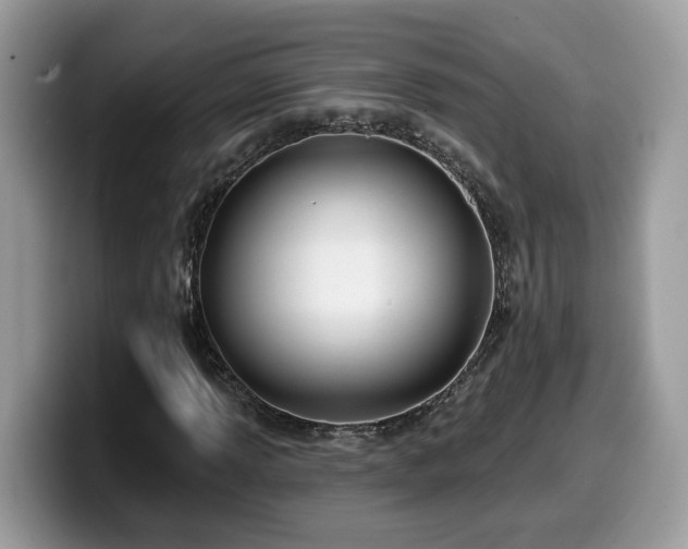 X0000099961013200805301309
