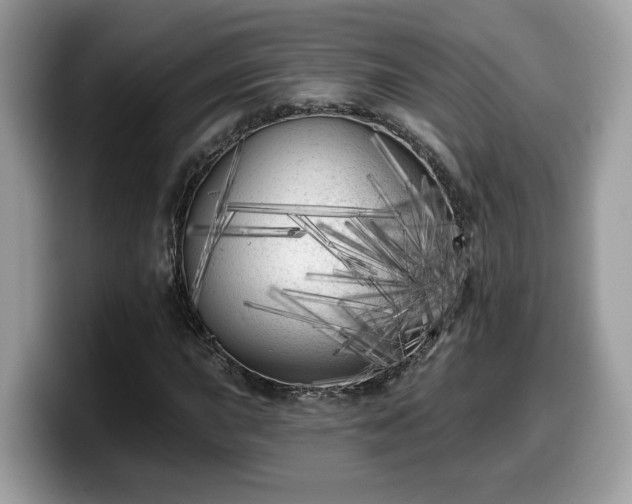 X0000099961015200805301309
