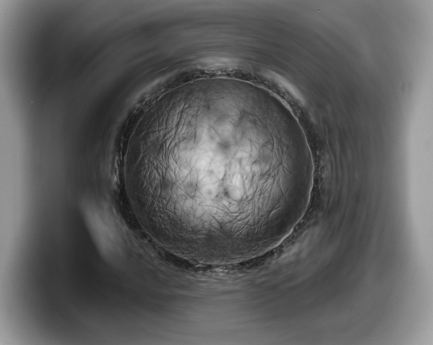 X0000099961016200805301309