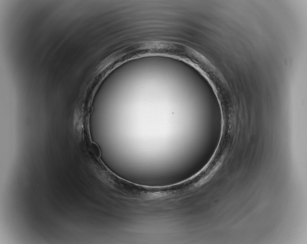 X0000099961017200805301309