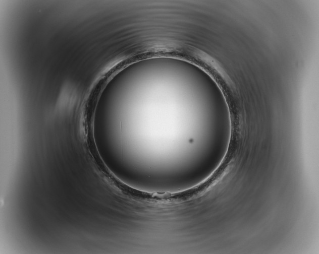X0000099961018200805301309