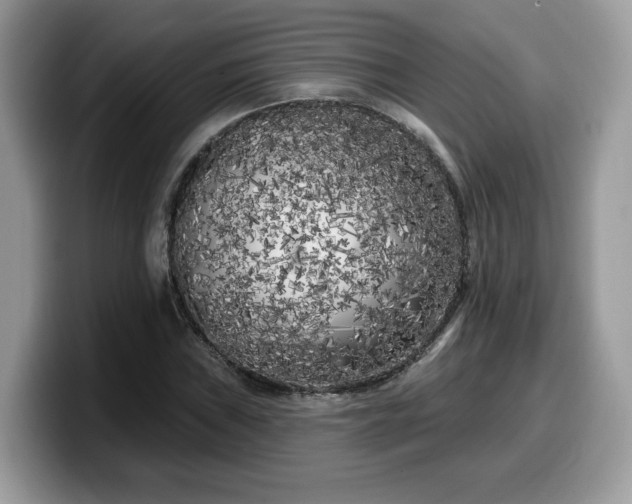 X0000099961019200805301309
