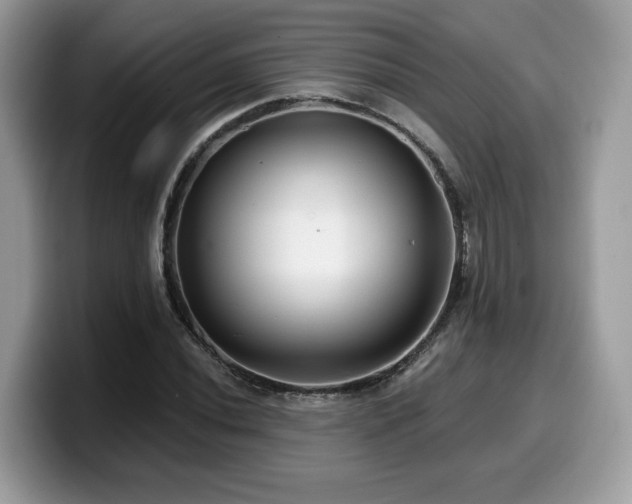 X0000099961020200805301309