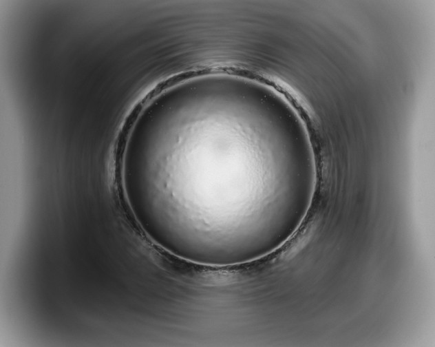 X0000099961023200805301309