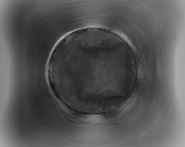 X0000099961024200805301309