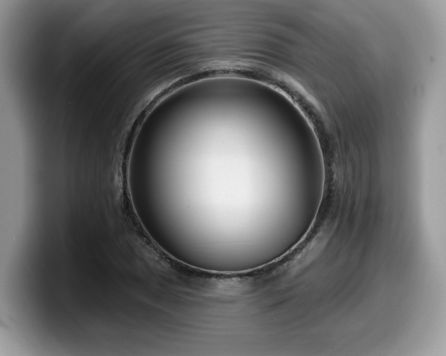 X0000099961025200805301309