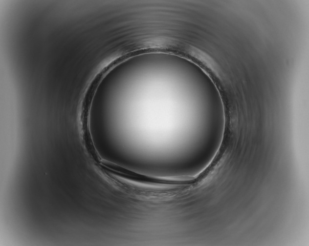 X0000099961026200805301310