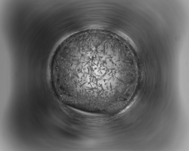 X0000099961027200805301310