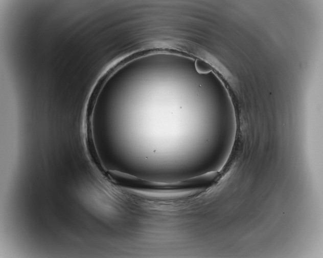 X0000099961028200805301310