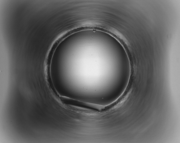 X0000099961029200805301310