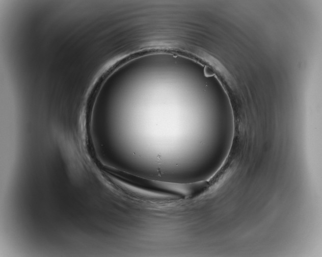 X0000099961030200805301310
