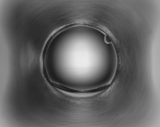 X0000099961032200805301310