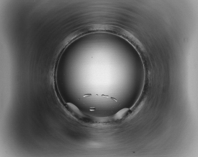 X0000099961033200805301310