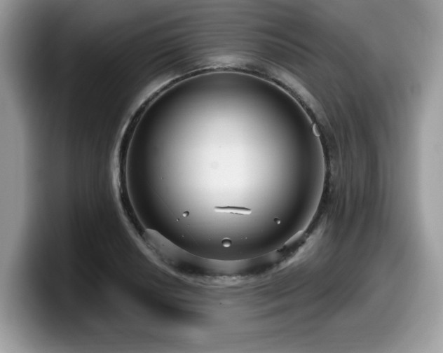 X0000099961034200805301310