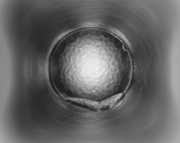 X0000099961035200805301310
