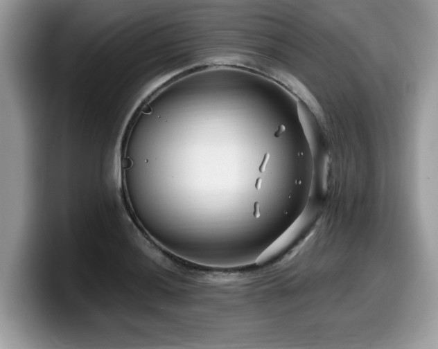 X0000099961036200805301310
