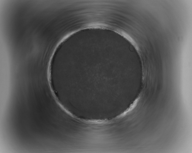 X0000099961037200805301310