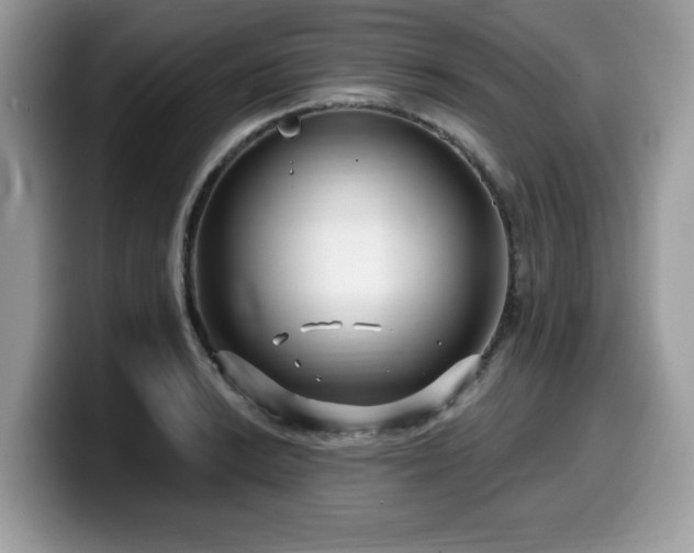 X0000099961038200805301310