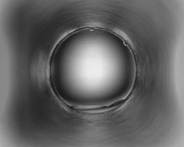 X0000099961040200805301310