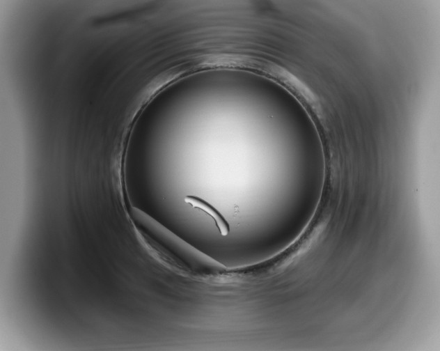 X0000099961041200805301310