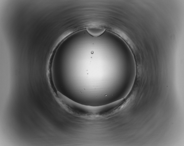 X0000099961042200805301310