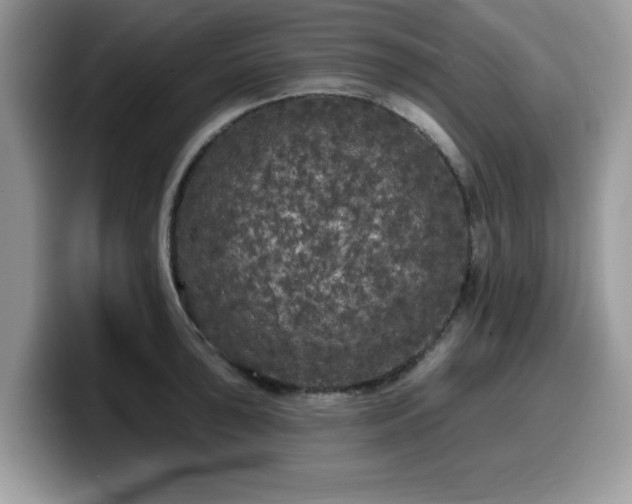 X0000099961043200805301310