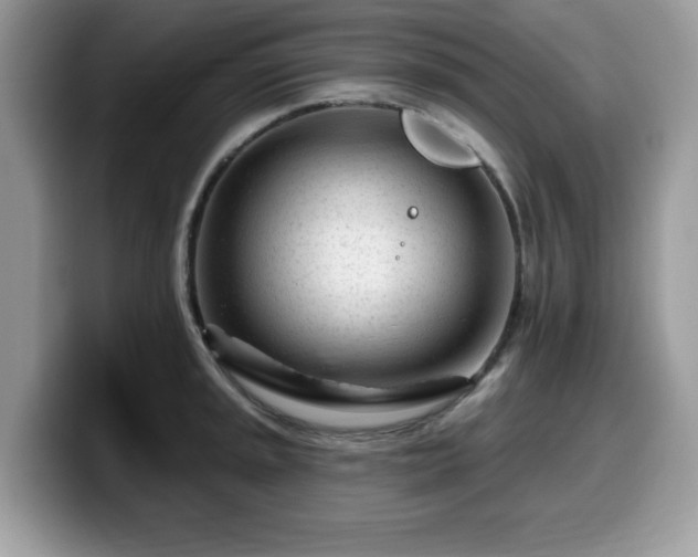 X0000099961045200805301310