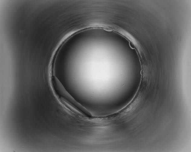 X0000099961048200805301310
