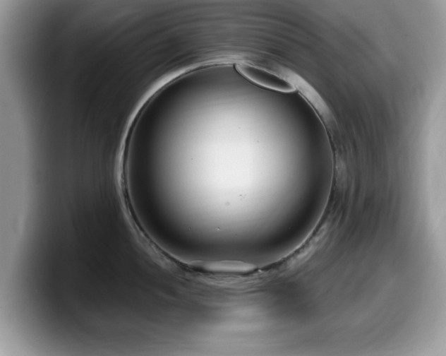 X0000099961052200805301310