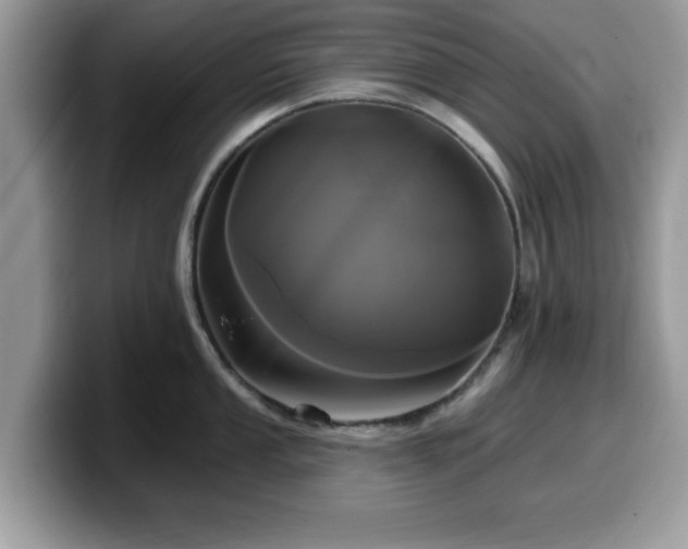 X0000099961053200805301310