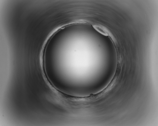 X0000099961054200805301310