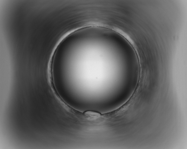 X0000099961056200805301310